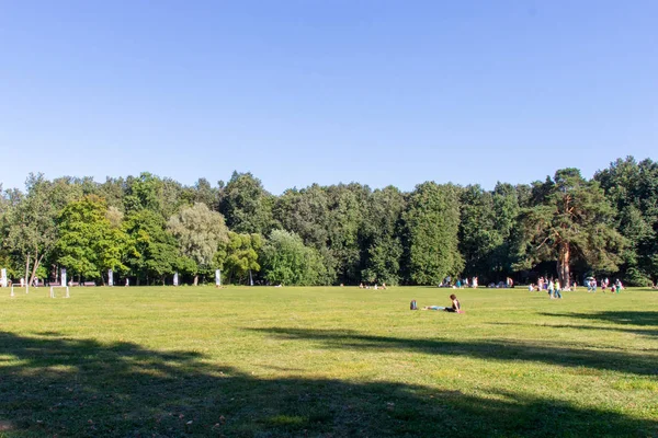 Park aile tatil için. Büyük yeşil çim. Yeşil büyük ağaçlar. Mavi gökyüzü bulutlar olmadan.
