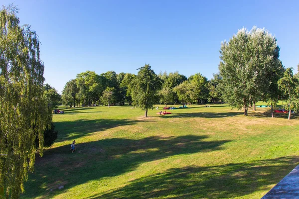 Large lawn in a holiday park for the family. Green and yellow lawn. Green trees in the park. Blue clear sky.