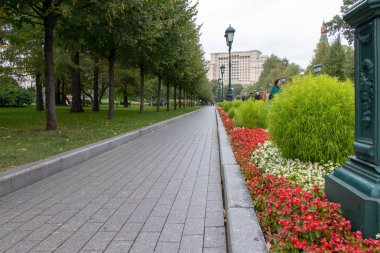 Şehir yolu taş ve taş kaplama yapılmış. Yol boyunca ağaçları büyüyor. Bir çit çiçek. Şehir Parkı dinlenme. Yeşil çim ve aydınlatmalı ışık direkleri.