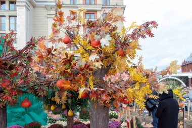 Sarı ve kırmızı yaprakları ile sonbahar ağacı. Ağaç üzerinde sebze kabak, renkli çiçekler büyür. Sahne ve sebze ve kum rakamları.