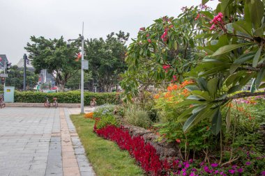 Taş yolu Şehir Parkı içinde çini. Yeşil çalılar ağaç. Çimlerin üstünde kırmızı ve sarı çiçek.