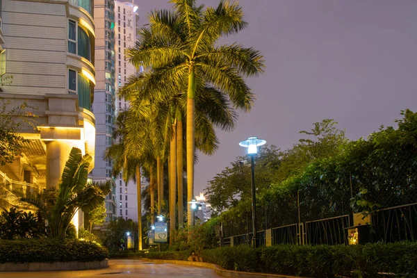 City alley with palm trees at night. Night lights, a city skyscraper, a stone footpath, an iron fence are burning. House territory rest.