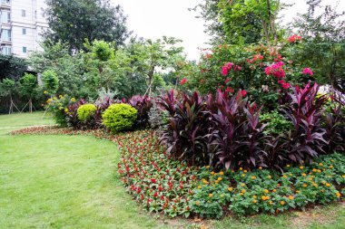 Büyük Çiçeklik çiçeklerle parkta. Park city, yeşil çim. Çok renkli çiçeklerin bir flowerbed. Guangzhou eğlence parkı.