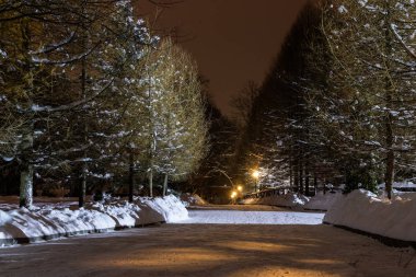 Gece kış park ağaçları ile. Işık fenerler, yeşil yüksek Ladin, gece gökyüzü. Kar kış yol