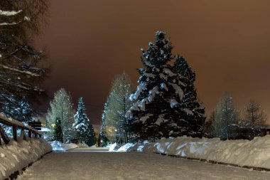 Gece kış park ağaçları ile. Işık fenerler, yeşil yüksek Ladin, gece gökyüzü. Kar kış yol.