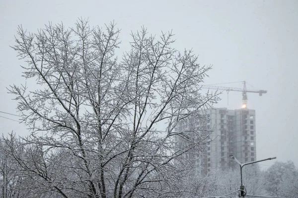 Branches Trees Fluffy Snow Construction Crane Winter Snowfall Winter Falling — Stock Photo, Image