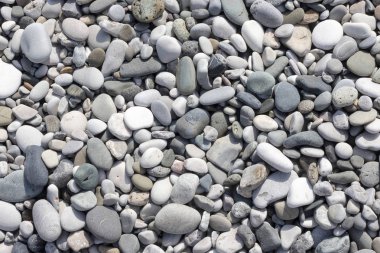 Taş yuvarlak deniz çok renkli. Deniz çakıl doku, üst görünüm closeup.