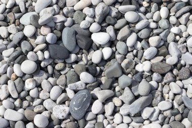 Taş yuvarlak deniz çok renkli. Deniz çakıl doku, üst görünüm closeup.