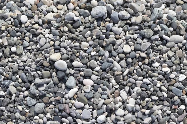 Stone Round Sea multi-färgade. Sea stenig textur, topp Visa närbild. — Stockfoto