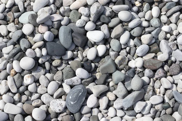 Taş yuvarlak deniz çok renkli. Deniz çakıl doku, üst görünüm closeup.
