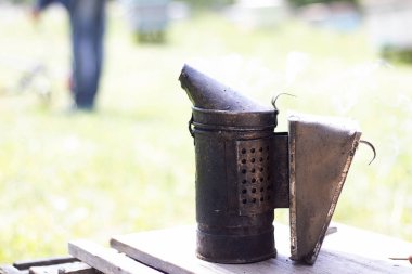Kovandan arı lar tüttürür. Arılar için duman, apiary üzerinde çalışmak. Arıcılık doğal bal.