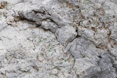 Gri çizgili modern beyaz duvar. Arka plan dokusu doğal 