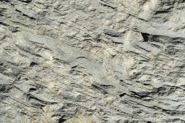 Gri çizgili modern açık sarı duvar. Ro ile arka plan