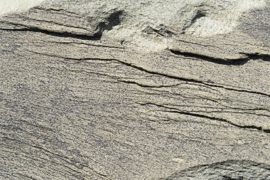 Gri çizgili modern açık sarı duvar. Grunge soyut taş