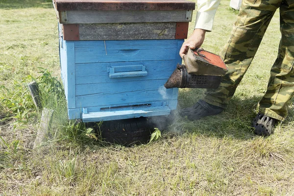 A beekeeper in an apiary smoke bee hive. Preparing to work with bees, get honeycombs and honey.