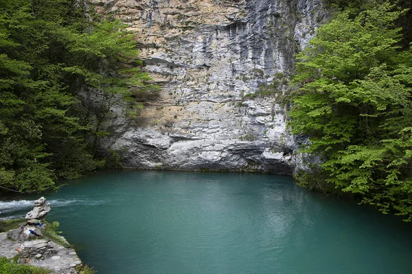 Ağaçlar ve taşlar ile yeşil pitoresk göl. Seyahat ve turizmde doğanın manzarası. Abhazya'da güzel bir göl