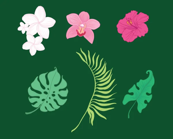 Set van vector tropische bloemen en bladeren — Stockvector