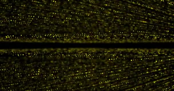 Abstrait élégant fond de particules. rendu 3D .