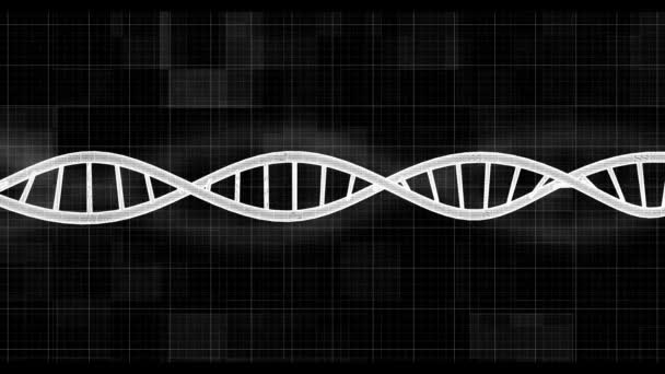 Digitale Dna Computerbildschirm Hintergrundanimation Motion Graphics Hintergrund — Stockvideo