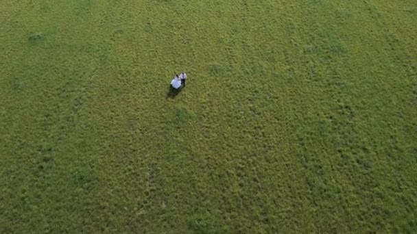 un couple marié se promène dans un beau champ (vue depuis l'Aerocopter )