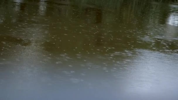 Está Lloviendo Río Hermosas Gotas Verano — Vídeos de Stock