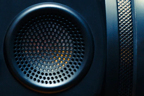 Acoustic system with a grid on the diffuser close-up