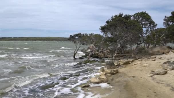 Göl Manzara Içinde Stokes Milli Parkı Batı Avustralya — Stok video