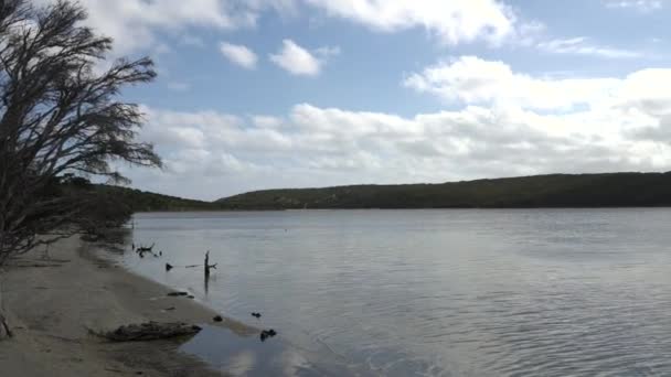 Hamersley Inlet Beautiful Place Fitzgerald River National Park Western Australia — Stock Video