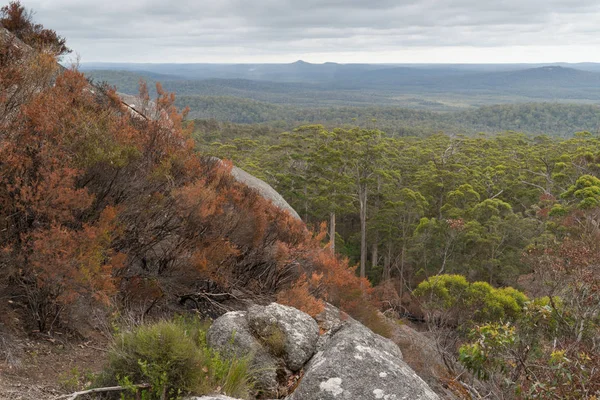 Panoramisch Uitzicht Bossen Van Frankland Nationaal Park Mount West Australië — Stockfoto