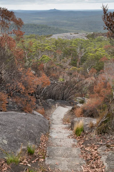 Vista Panorâmica Sobre Florestas Parque Nacional Mount Frankland Austrália Ocidental — Fotografia de Stock