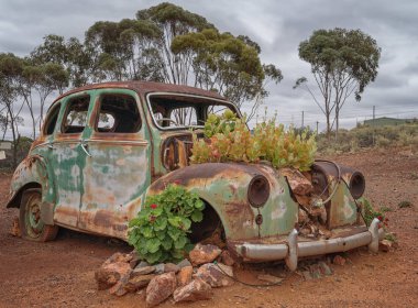 Kalgoorlie, Avustralya - 28 Ocak 2018: Araba enkazından bitkiler ve çiçekler üzerinde 28 Ocak 2018 evanescence Batı Avustralya'da gösterilen bulutlu bir günde