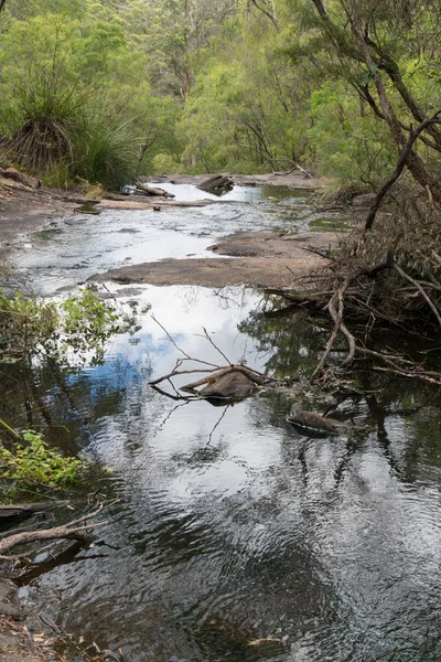 Küçük dere içinde Beedelup Milli Parkı, Batı Avustralya