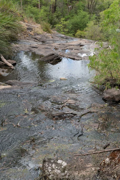 Kleiner Bach Beedelup Nationalpark Westaustralien — Stockfoto