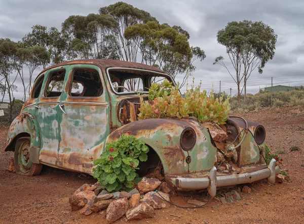 Kalgoorlie, Avustralya - 28 Ocak 2018: Araba enkazından bitkiler ve çiçekler üzerinde 28 Ocak 2018 evanescence Batı Avustralya'da gösterilen bulutlu bir günde