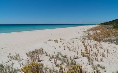 Leeuwin Naturaliste Milli Parkı, Batı Avustralya
