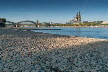Köln, Almanya - 27 Temmuz 2018: Almanya, düşük su Ren Nehri'nin Köln sabah erken saatte 27 Temmuz 2018 Almanya kuraklık