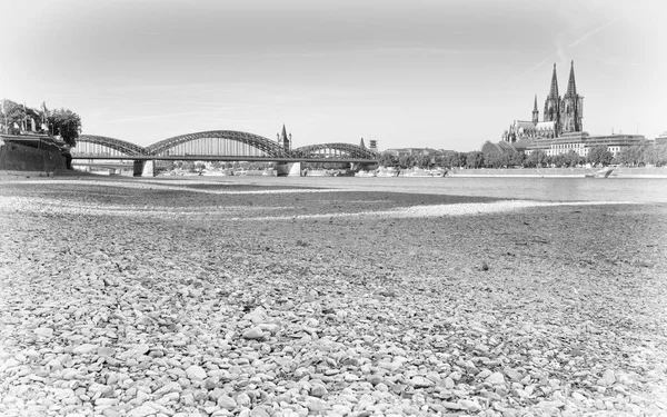 Cologne Alemania Julio 2018 Sequía Alemania Aguas Bajas Del Río — Foto de Stock