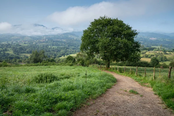 Krásná Krajina Podél Stezky Camino Santiago Mezi Oviedo Grado Asturias — Stock fotografie