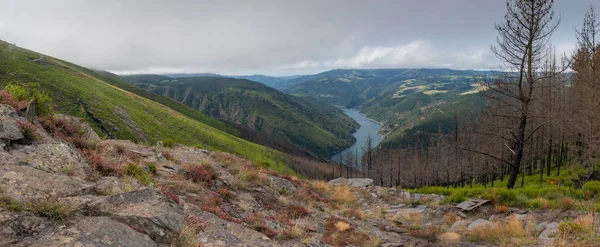 Vodní Nádrž Blízkosti Grandas Helena Krásnou Krajinou Podél Stezky Camino — Stock fotografie