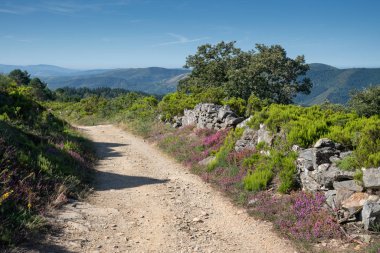 Panoramic landscape along the Camino de Santiago trail between Fonsagrada and O Cadavo, Galicia, Spain clipart