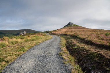 Lugo ve Melide arasında Camino de Santiago yolu boyunca uzanan panoramik manzara, Galiçya, İspanya
