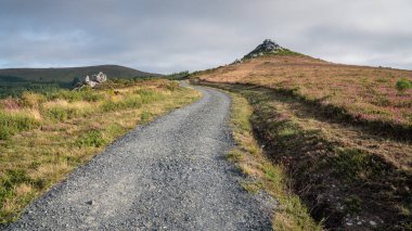 Panoramic landscape along the Camino de Santiago trail between Lugo and Melide, Galicia, Spain clipart