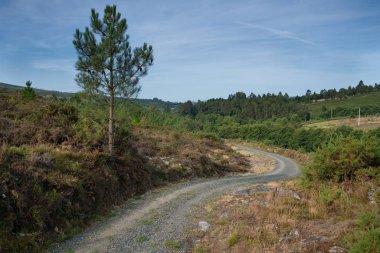 Panoramic landscape along the Camino de Santiago trail between Lugo and Melide, Galicia, Spain clipart