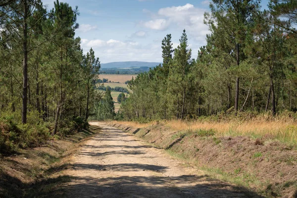 Paisagem Panorâmica Longo Trilha Caminho Santiago Entre Lugo Melide Galiza — Fotografia de Stock