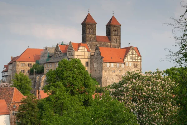 Panoramisch Beeld Van Het Klooster Van Quedlinburg Het Avondzonlicht Duitsland — Stockfoto