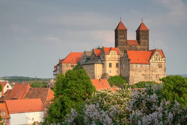 Panoramisch Beeld Van Het Klooster Van Quedlinburg Het Avondzonlicht Duitsland — Stockfoto