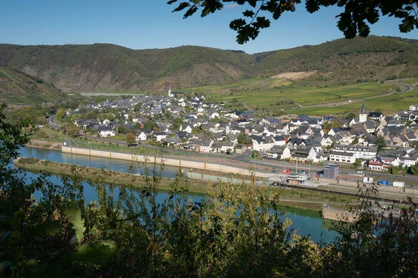 Bruttig Fankel Germany October 2018 Panoramic View Moselle Village Bruttig — Stock Photo, Image