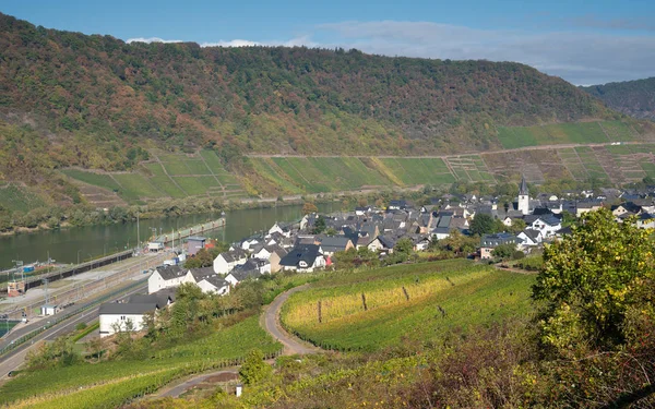Panoramisch Uitzicht Het Moezeldorp Bruttig Fankel Een Herfstdag Duitsland Europa — Stockfoto
