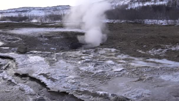 Area Geotermica Haukadalur Islanda Europa — Video Stock