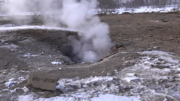Jeotermal Alan Haukadalur Zlanda Avrupa — Stok video